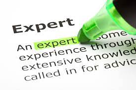expert's