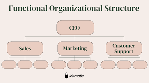 services organizations
