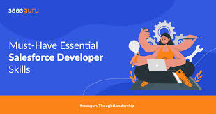 sales force developer skills