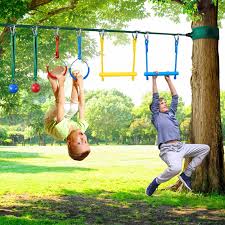 ninja backyard obstacle course