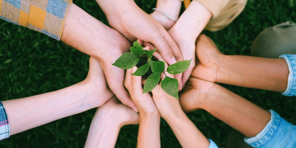 collaboration in community