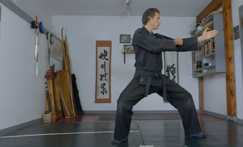 ninjutsu online course
