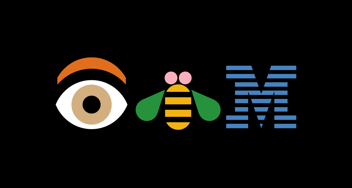 ibm leadership development program