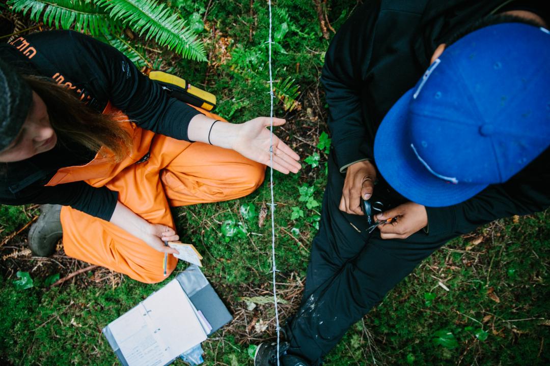 community based collaboration